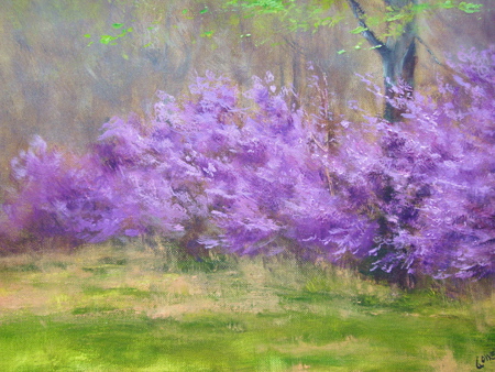 redbud.jpg